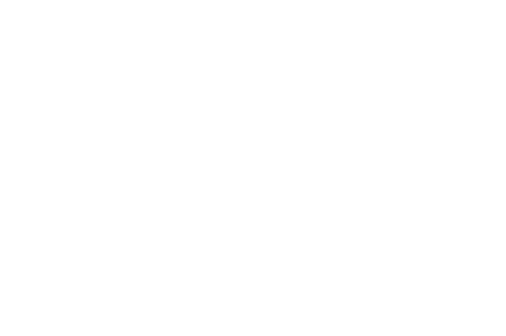 HonorableMention ViennaInternationalFilmAwards 2024 1 Black Castle