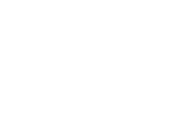 Cartaz com laurels 0011 OFFICIAL SELECTION Pinocchio International Film Festival 2024 Black Castle