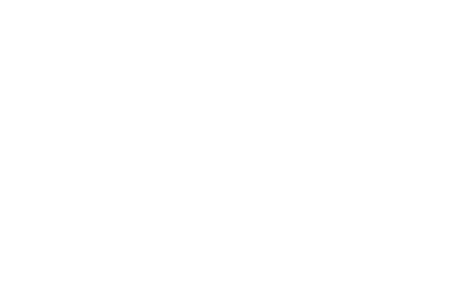 Cartaz com laurels 0062 OFFICIAL SELECTION Fortean Film Festival 2024 2 Black Castle