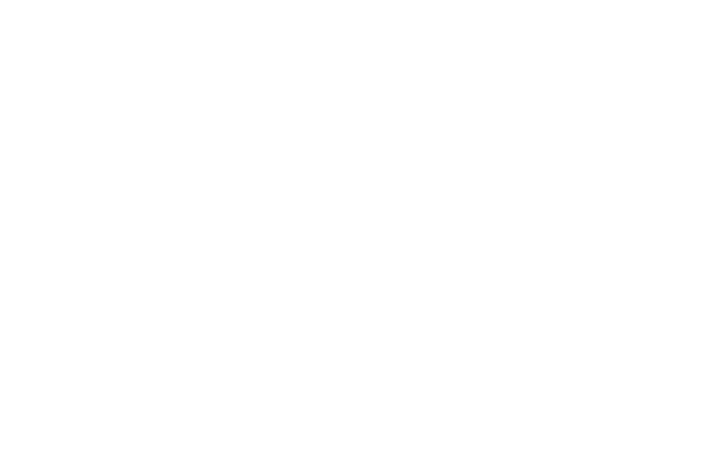 OFFICIAL SELECTION iDEAL INTERNATIONAL FILM FESTIVAL 2025 1 Black Castle