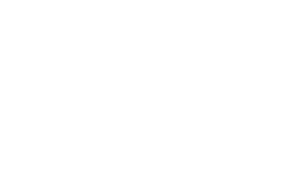 OFFICIAL SELECTION SEOUL EXTREME FILM FESTIVAL 2024 2 Black Castle